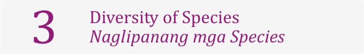 Topic 3